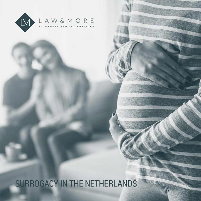 Сурогатно майчинство в Холандия Изображение