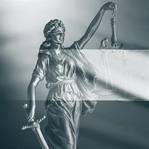 interim-lawyer