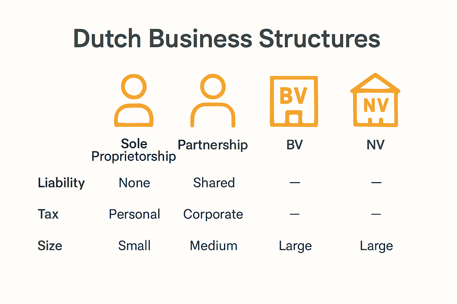 Dutch business legal structure comparison infographic