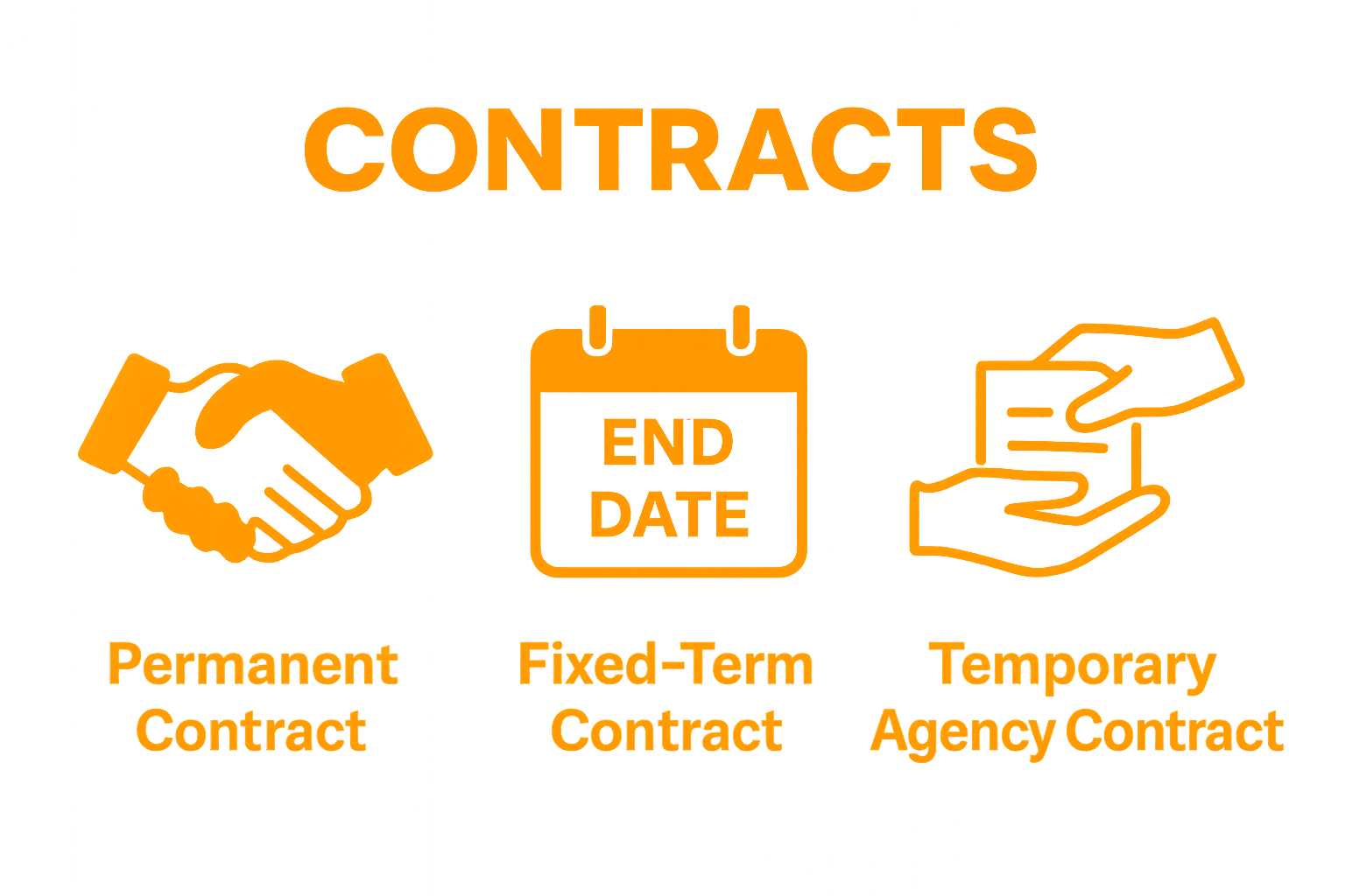 Infographic comparing three types of Dutch employment contracts