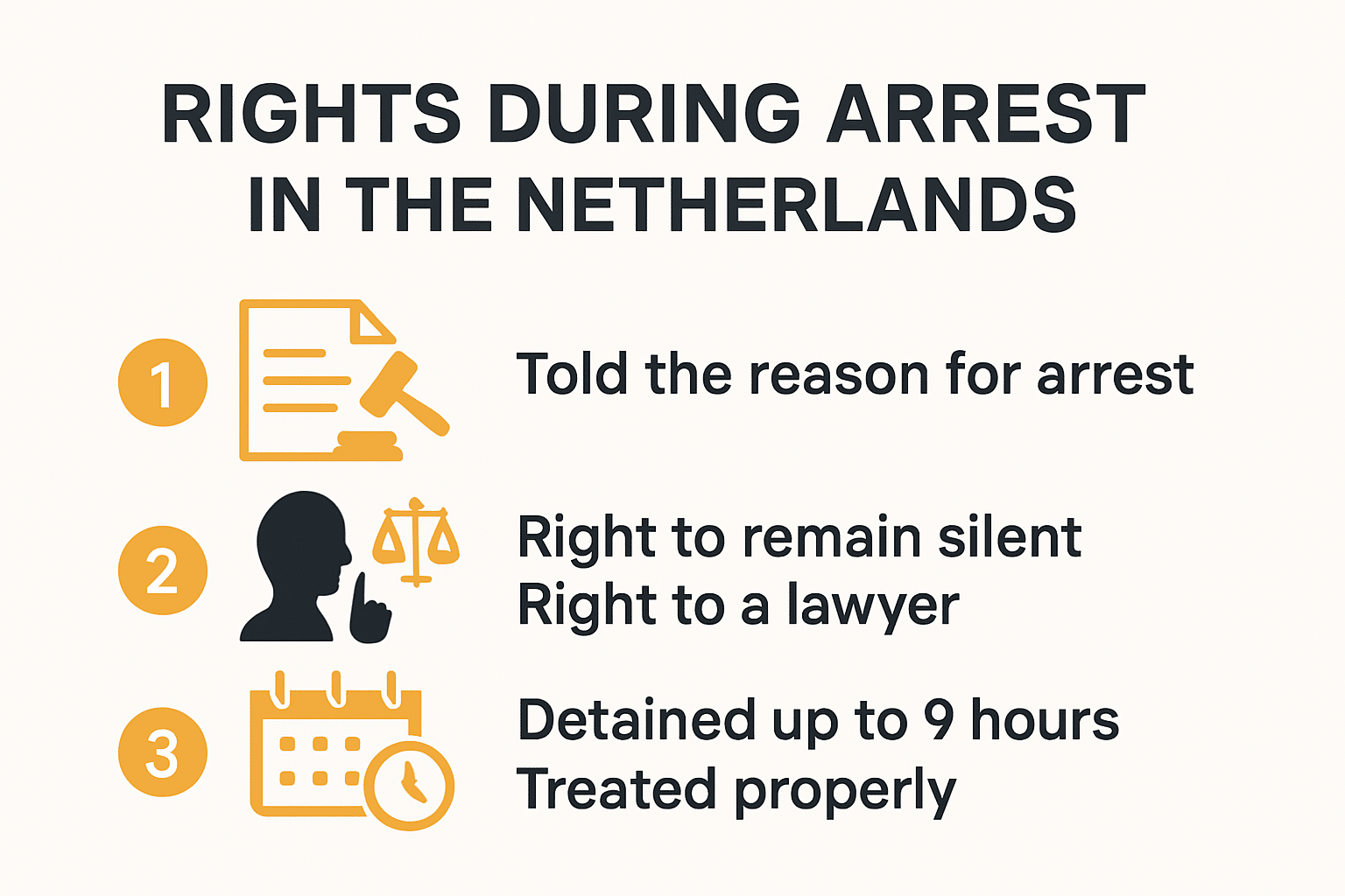 Hak ringkasan infografik semasa penangkapan dan tahanan polis di Belanda