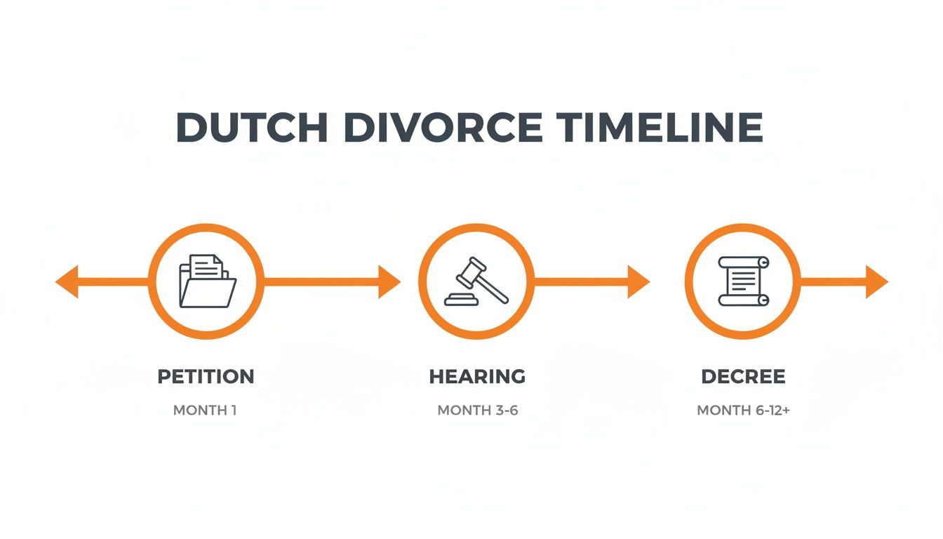 Infographic showing the Dutch divorce timeline, detailing Petition, Hearing, and Decree stages with their durations.