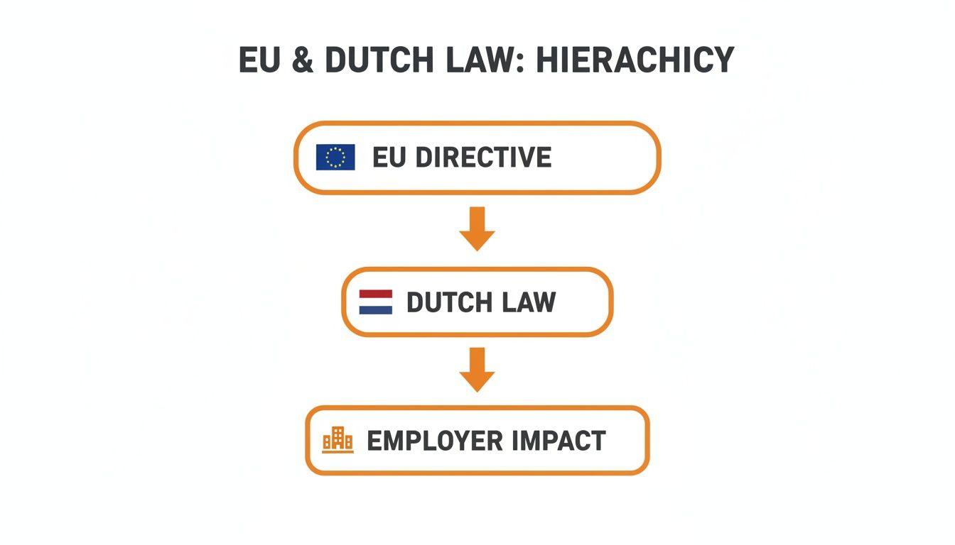 Flowchart illustrating the hierarchy of EU Directive, Dutch Law, and employer impact.