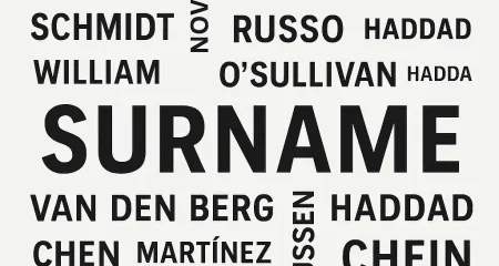 Law & More contact form surname field
